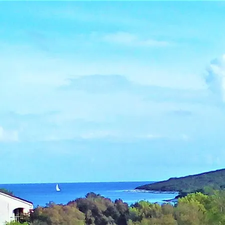 Near The Beaches